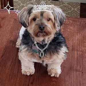 Meet your Posher, Vita